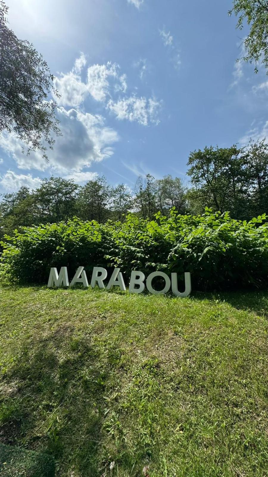 Marabou Resort Брашов Екстериор снимка