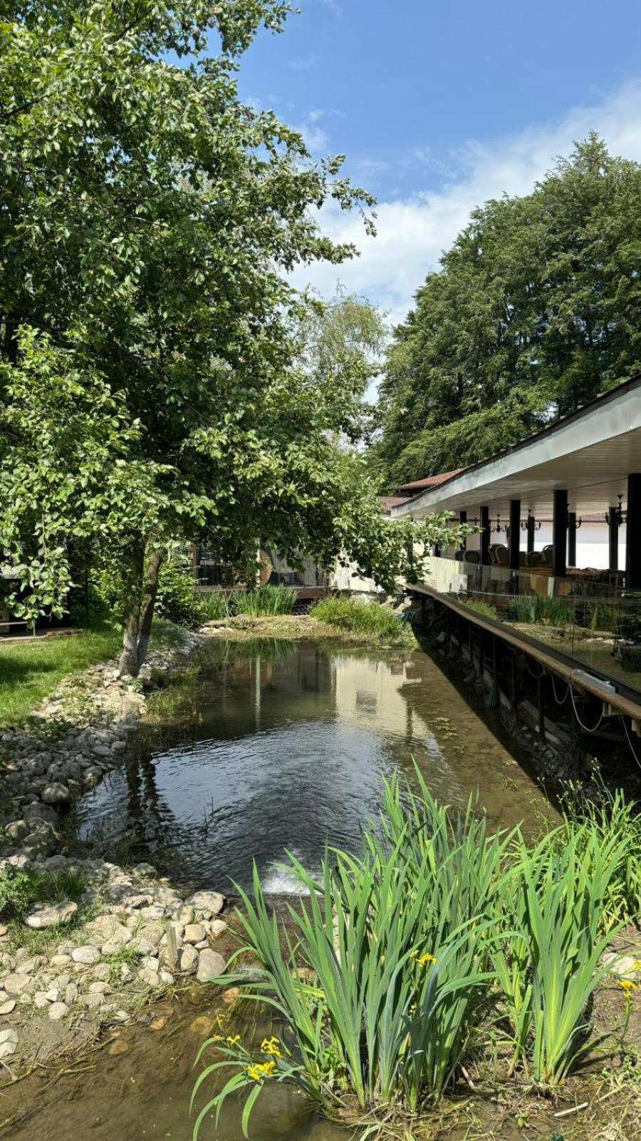Marabou Resort Брашов Екстериор снимка
